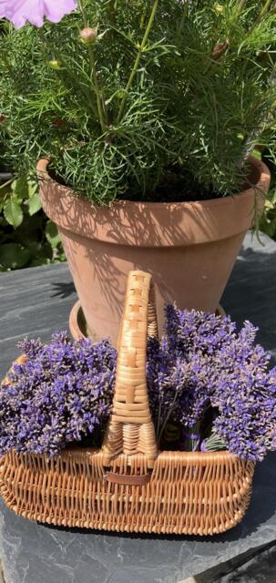 Lille Kurv i Pileflet_Hollænder kurv 24 cm