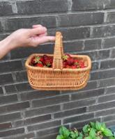 Lille Kurv Håndflettet - med hank
naturflet. Perfekt til bær