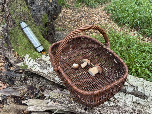 Kurv til svampe
Håndflettet i mørk pil
Robust Kurv