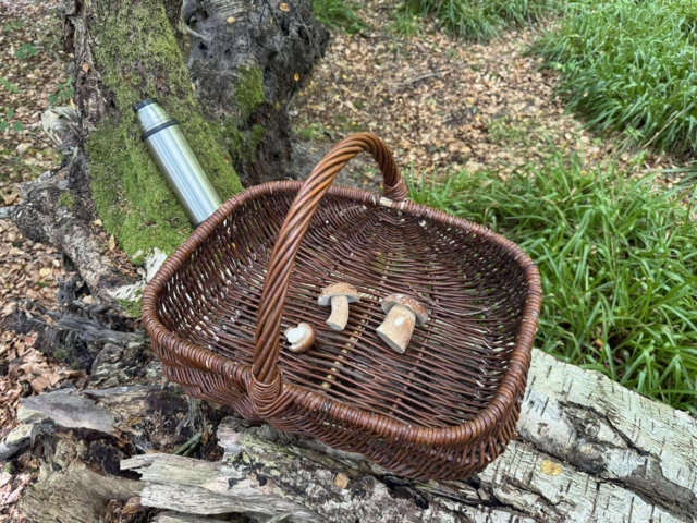 Kurv til svampe
Håndflettet i mørk pil
Robust Kurv