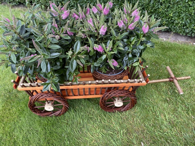 Havedokration
vogn til blomster