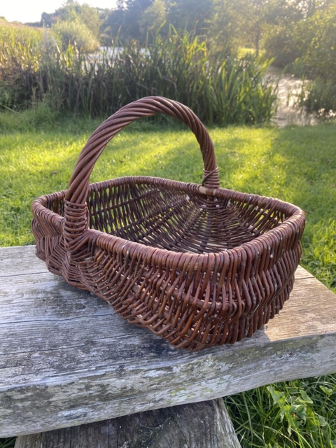 Kurv til svampetur
Pileflet
Naturflet