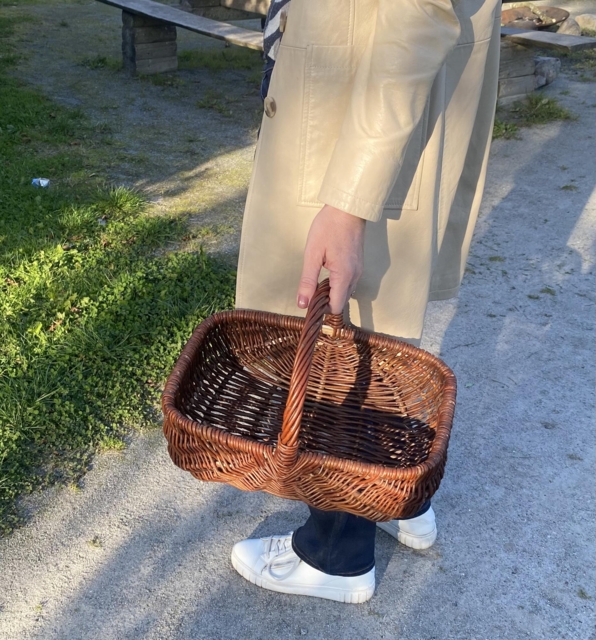 Kurv til svampetur
Pileflet
Naturflet