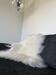 Ægte Islandske Lammeskind 
op til 90 cm 
Naturlig farve - off white