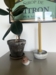 Håndlavet bivokslys 27 cm
Naturligt lys