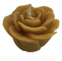 Bivokslys rose